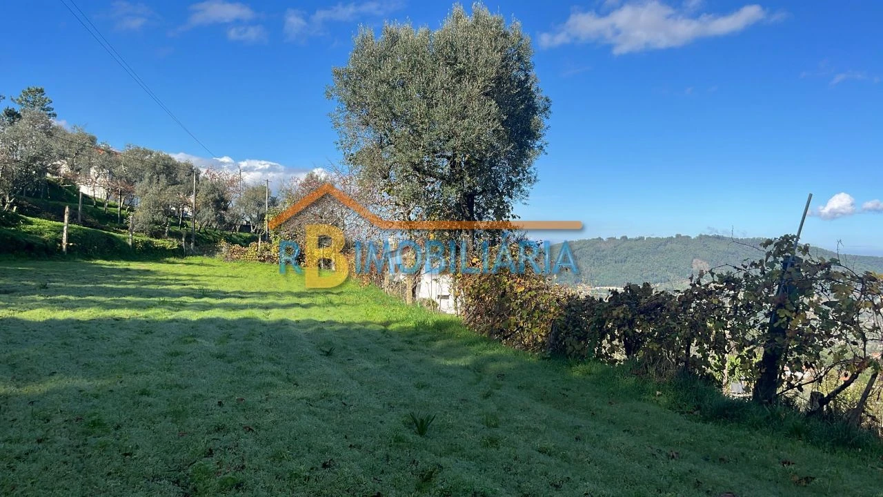 Quinta T2 para Venda em Santa Maria do Monte Foto 5