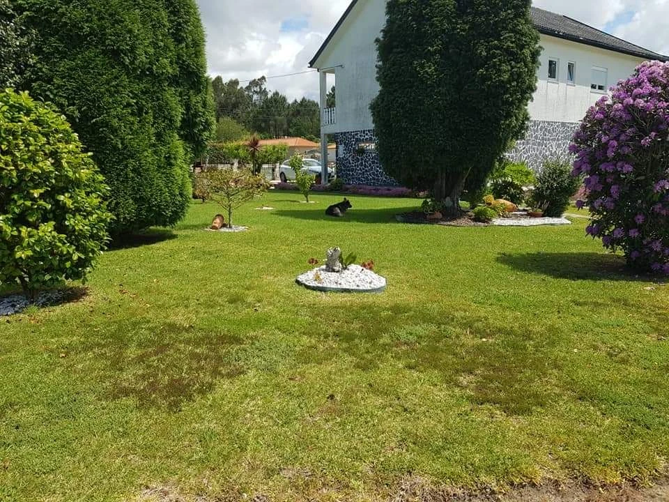 Moradia T3 para Venda em Fragoso Foto 8