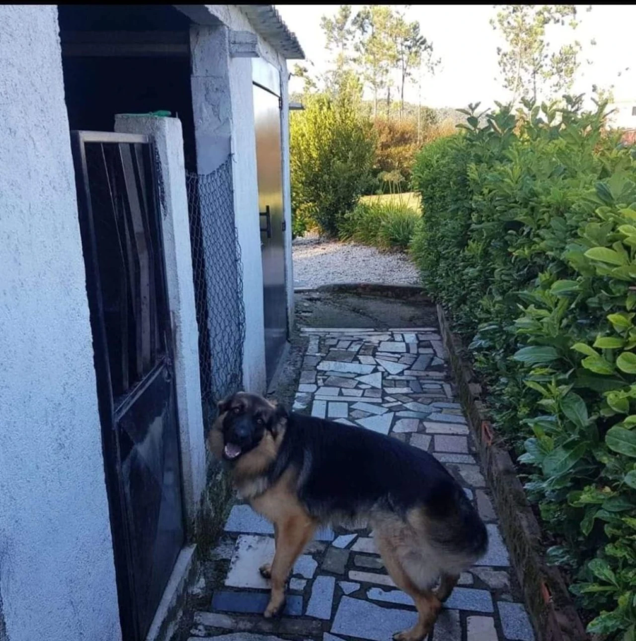 Moradia T3 para Venda em Fragoso Foto 15