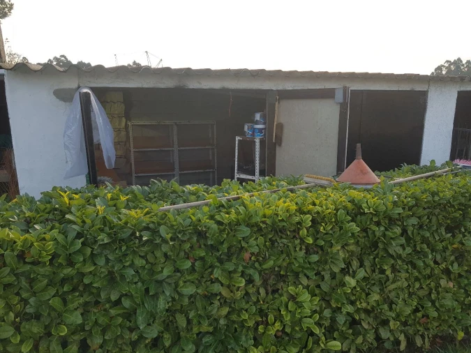 Moradia T3 para Venda em Fragoso Foto 25