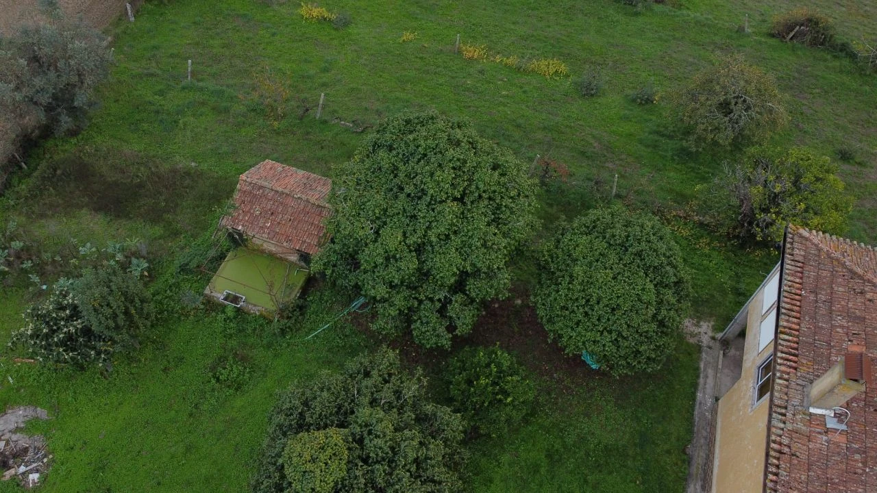 Quinta T3 para Venda em Fundões Foto 5