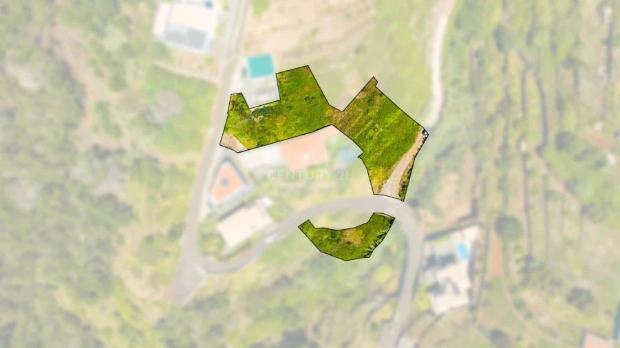 Terreno P/ Prédio para Venda em Eiras Foto 7