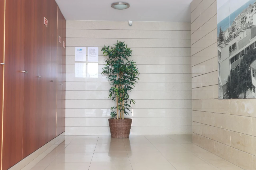 Apartamento T1 para Arrendamento em Sesimbra Foto 14