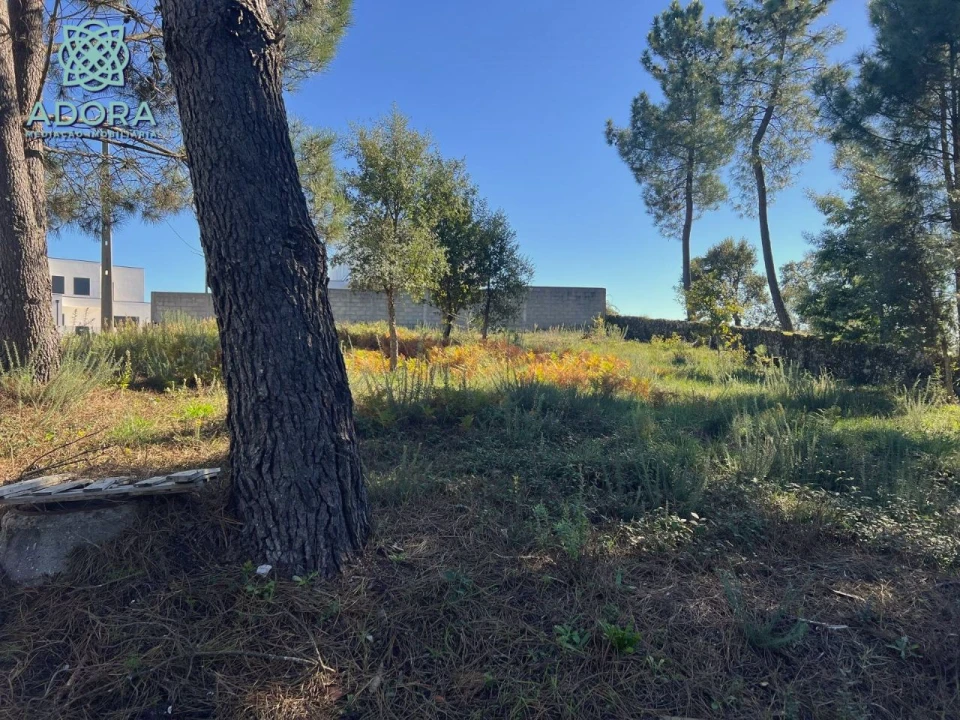 Terreno P/ Prédio para Venda em Carameleiro Foto 1