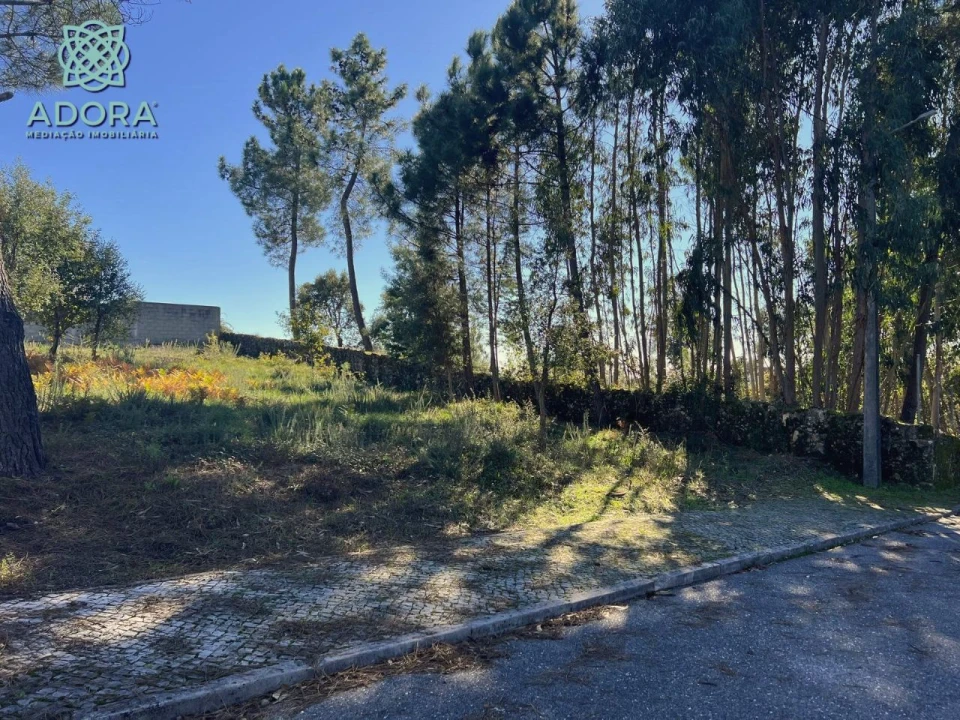 Terreno P/ Prédio para Venda em Carameleiro Foto 2