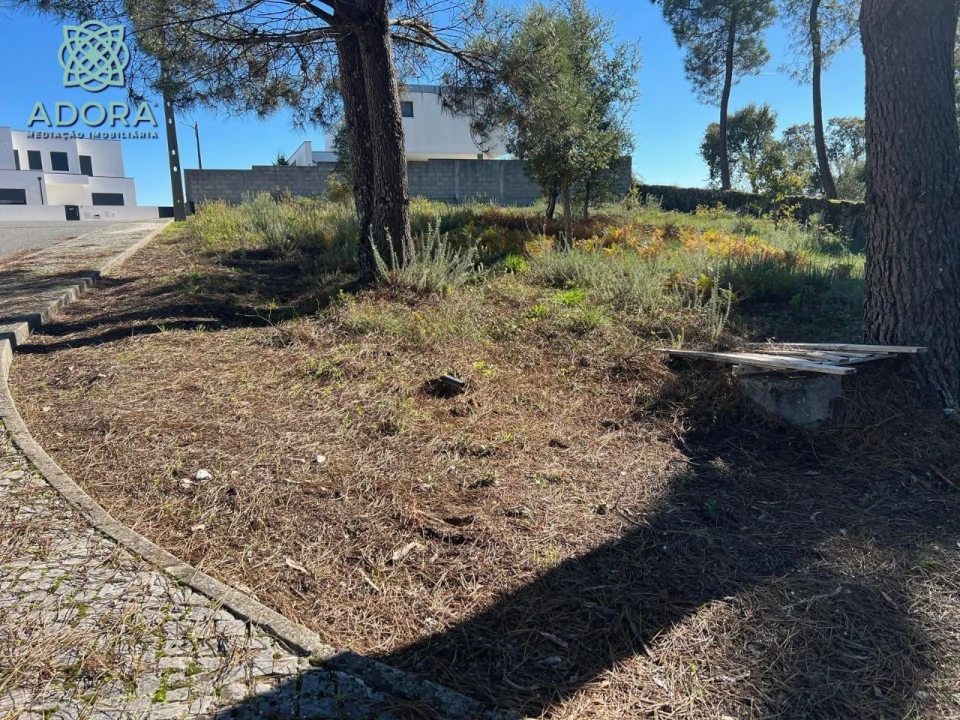 Terreno P/ Prédio para Venda em Carameleiro Foto 3