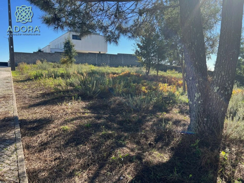 Terreno P/ Prédio para Venda em Carameleiro Foto 4