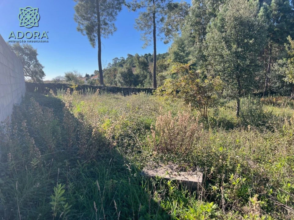 Terreno P/ Prédio para Venda em Carameleiro Foto 5