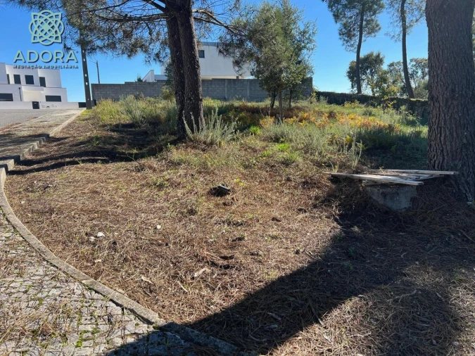 Terreno P/ Prédio para Venda em Carameleiro Foto 3