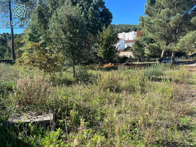 Terreno P/ Prédio para Venda em Carameleiro Foto 6