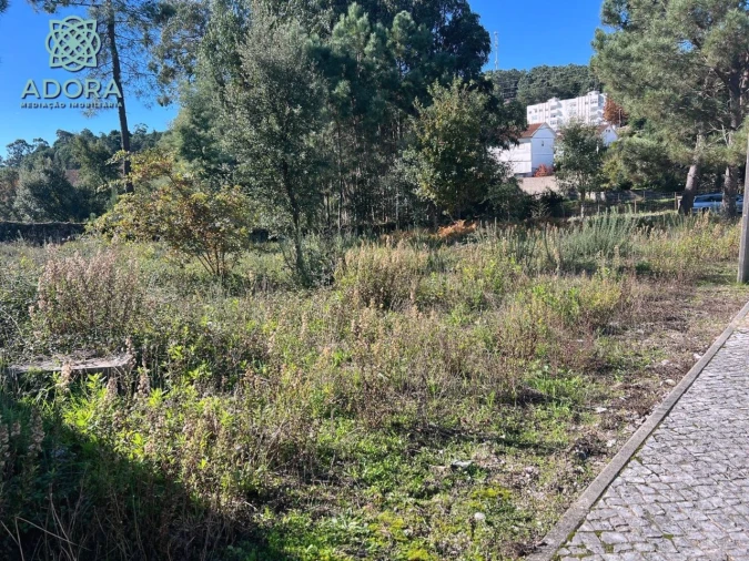Terreno P/ Prédio para Venda em Carameleiro Foto 8