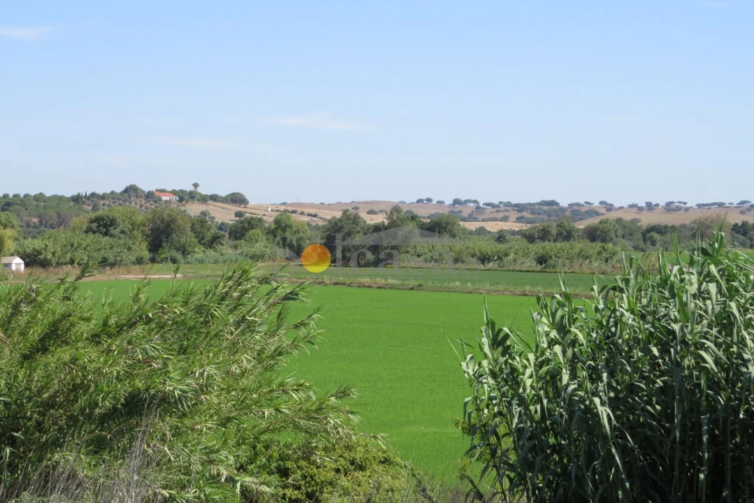 Terreno para Venda em Santa Catarina Foto 3