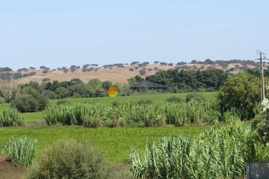 Terreno para Venda em Santa Catarina Foto 4