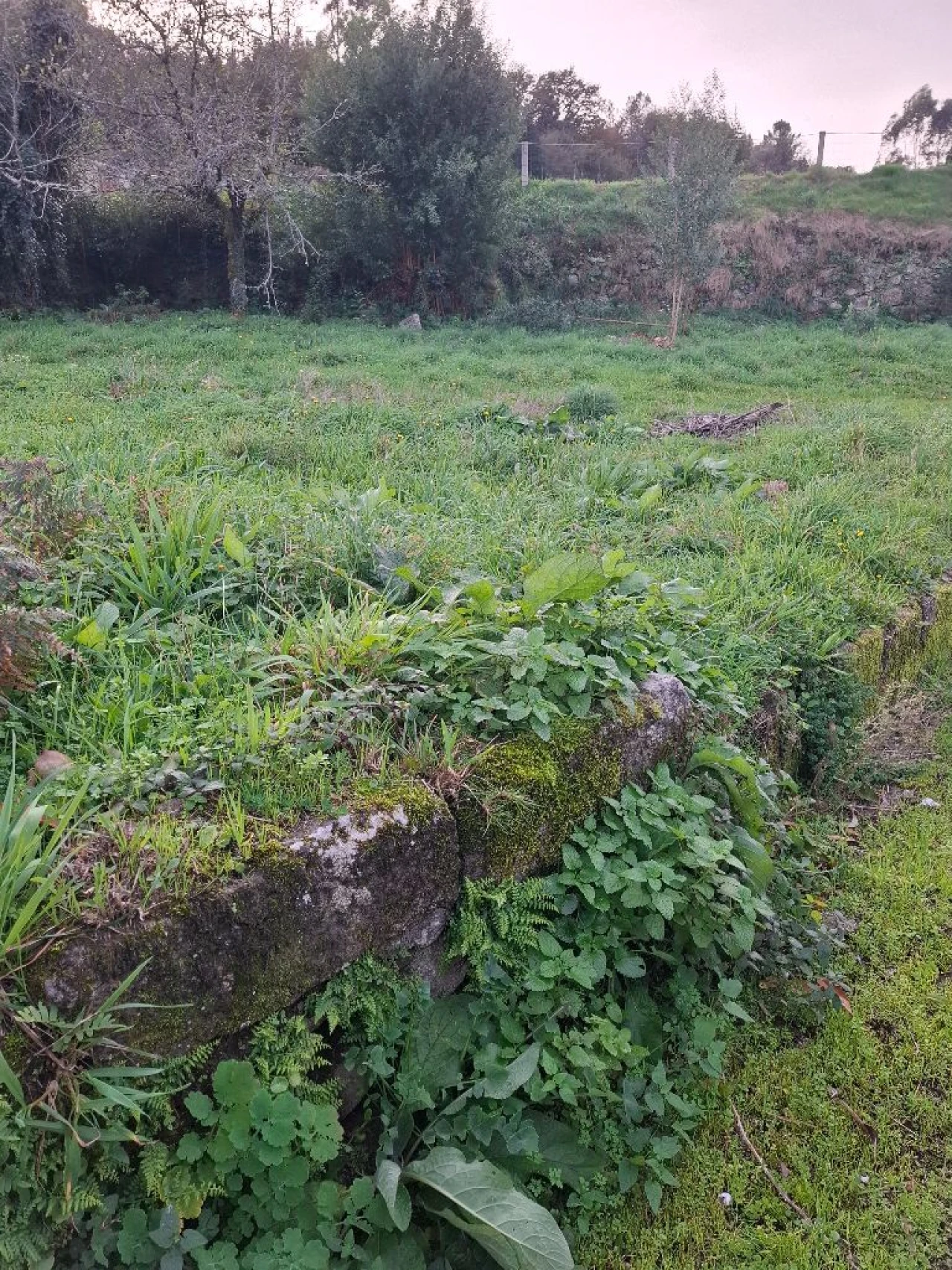 Moradia para Venda em Casal Foto 4