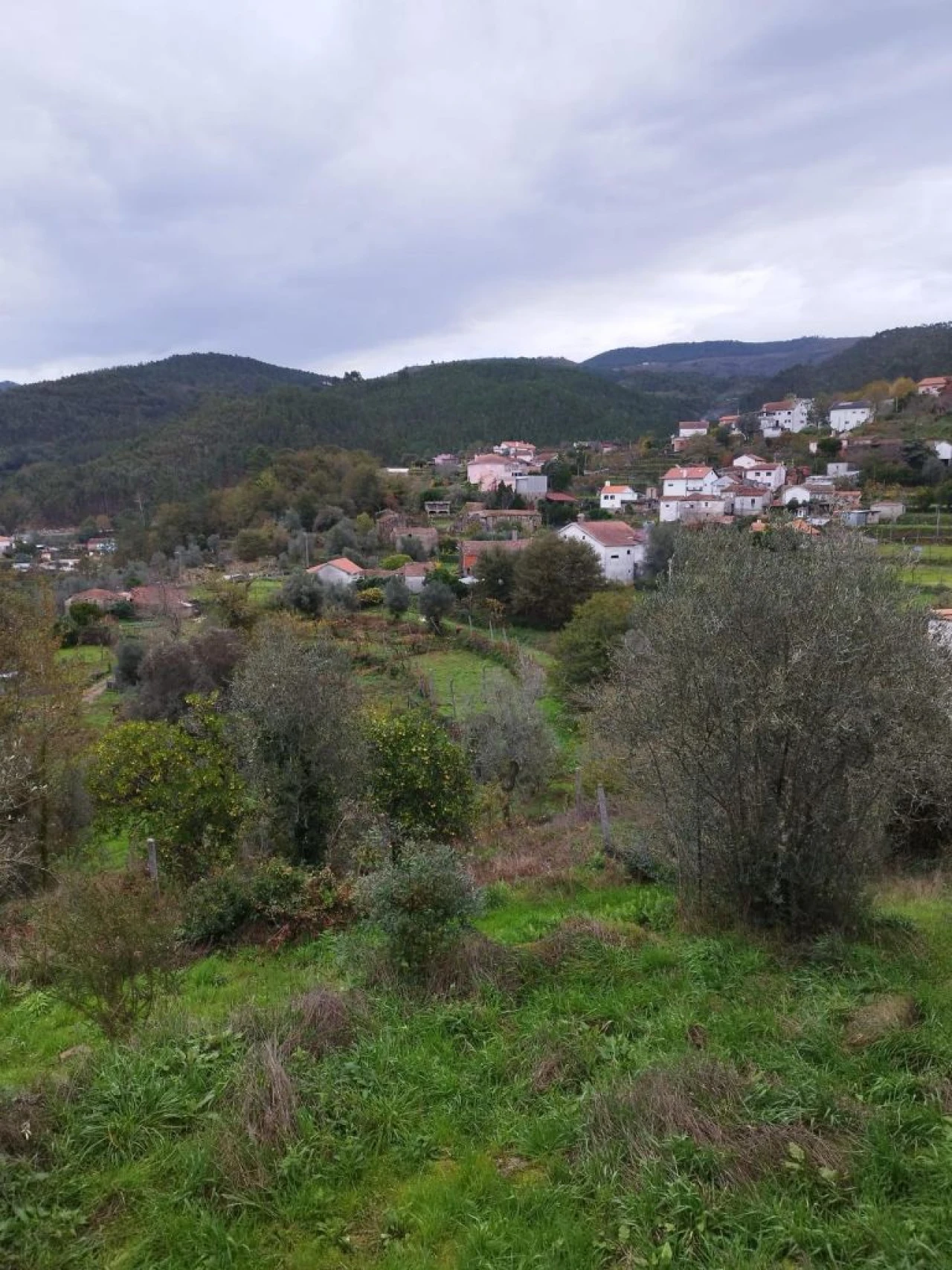 Moradia para Venda em Conlela Foto 6