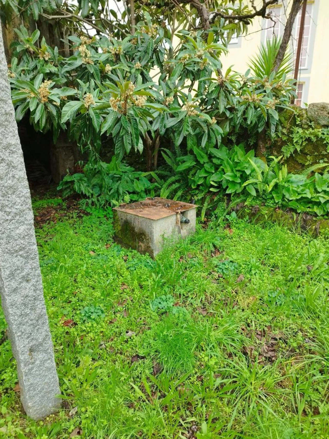 Moradia para Venda em Conlela Foto 8