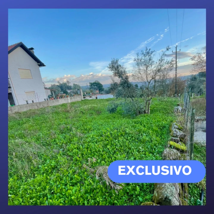 Terreno Misto para Venda em Tondela Foto 1