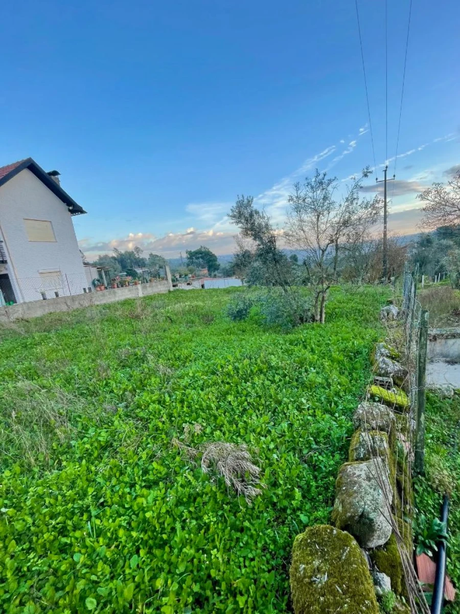 Terreno Misto para Venda em Tondela Foto 4