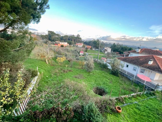 Terreno Misto para Venda em Tondela Foto 3