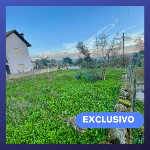 Terreno Misto para Venda em Tondela