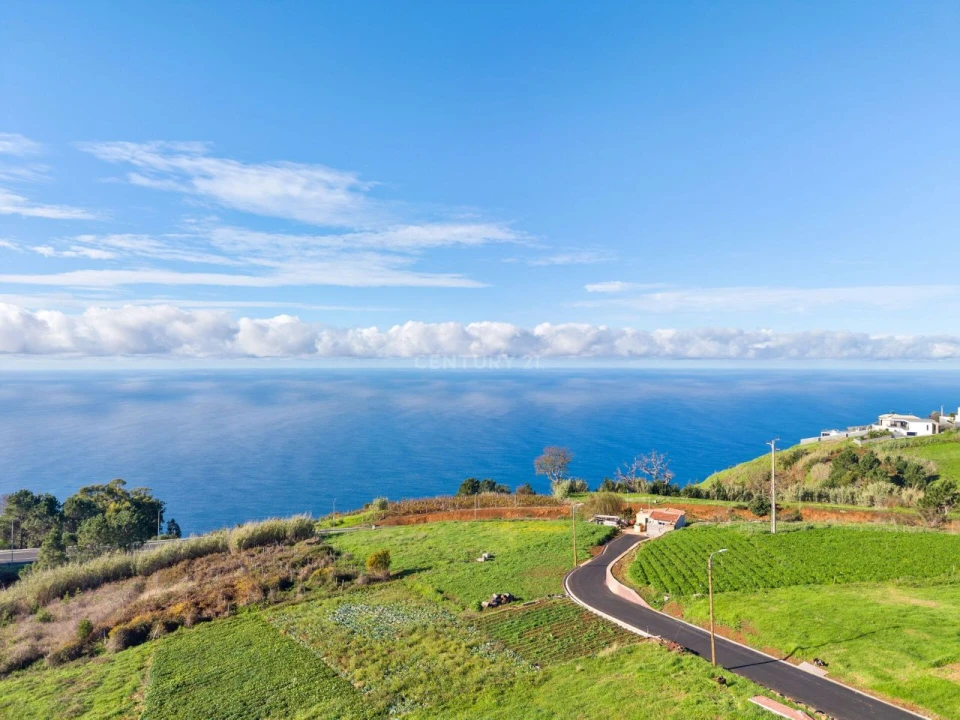Terreno para Venda em Prazeres Foto 4
