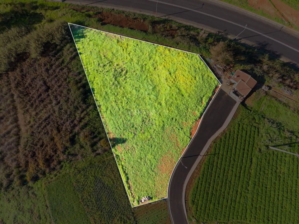 Terreno para Venda em Prazeres Foto 9