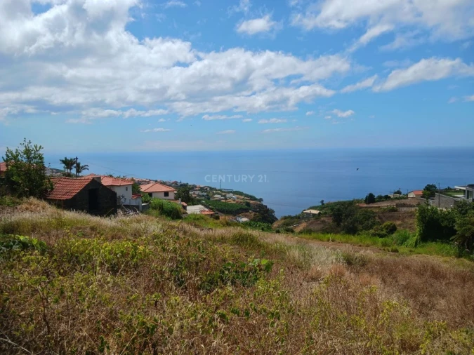 Terreno para Venda em Estreito Calheta Foto 2