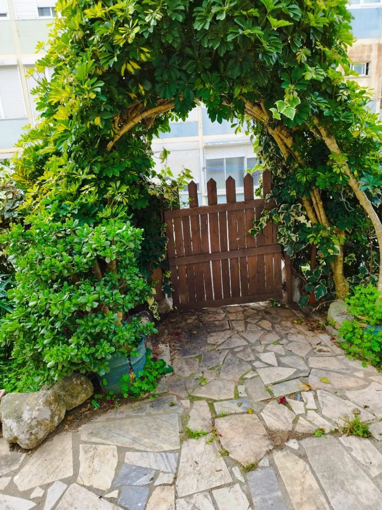 Apartamento T4 para Venda em Rio de Mouro Foto 56