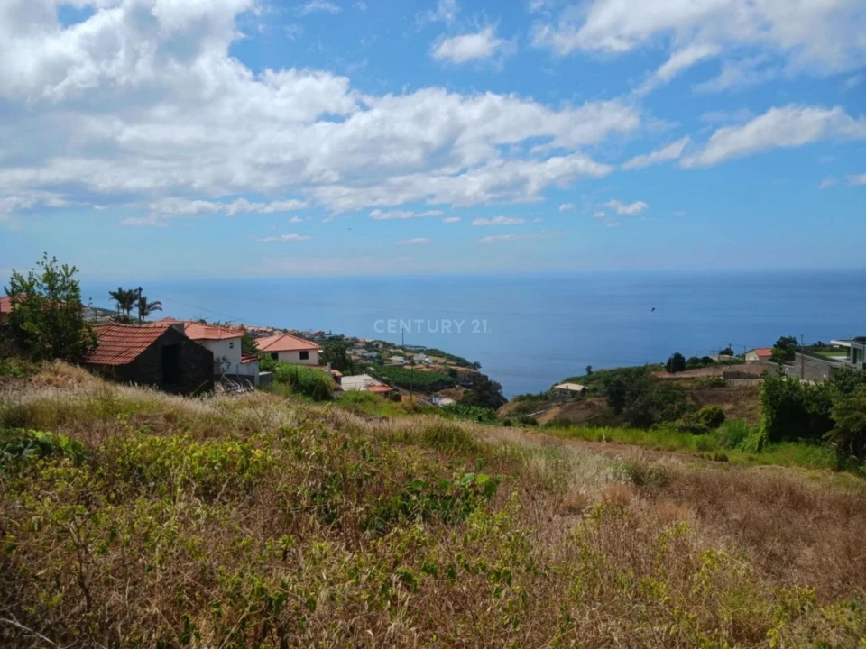 Terreno para Venda em Estreito Calheta Foto 5