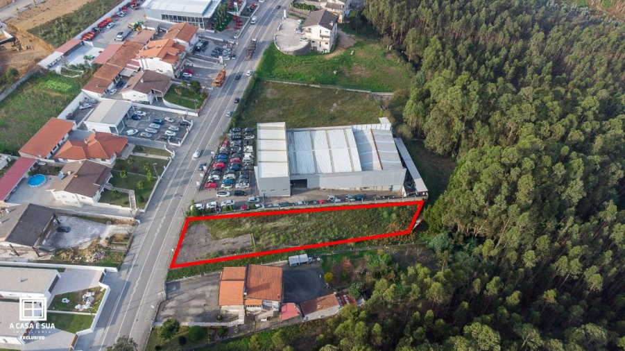 Terreno P/ Prédio para Venda em Escapães Foto 7