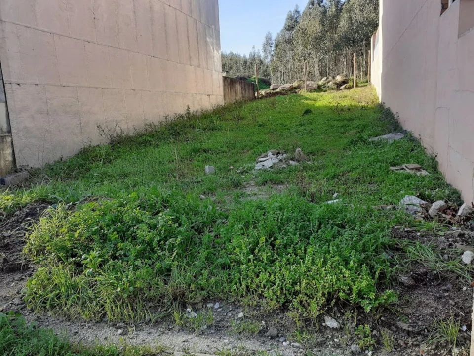 Terreno para Venda em São Mamede Coronado Foto 1