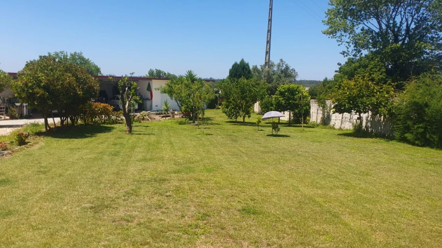 Moradia T4 para Venda em Carvide Foto 10