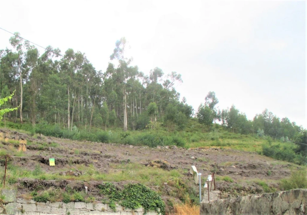Terreno P/ Prédio para Venda em Arcos de Valdevez Foto 1