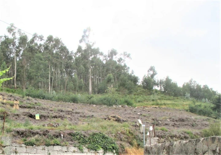 Terreno P/ Prédio para Venda em Arcos de Valdevez Foto 4