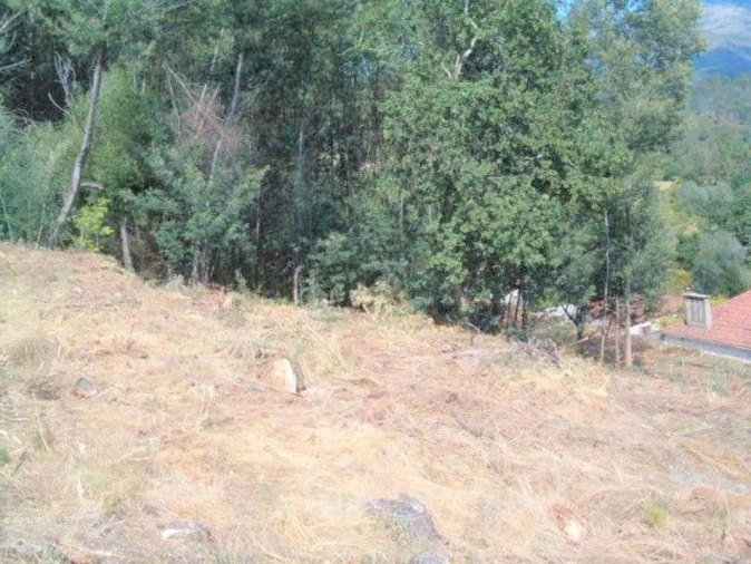 Terreno P/ Prédio para Venda em Arcos de Valdevez Foto 9