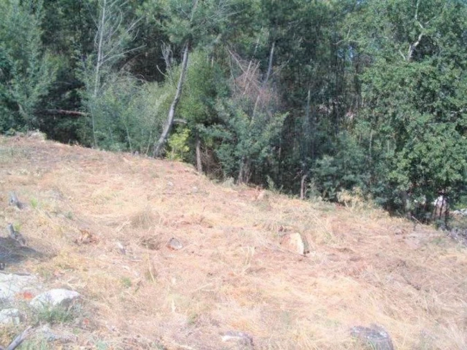 Terreno P/ Prédio para Venda em Arcos de Valdevez Foto 8