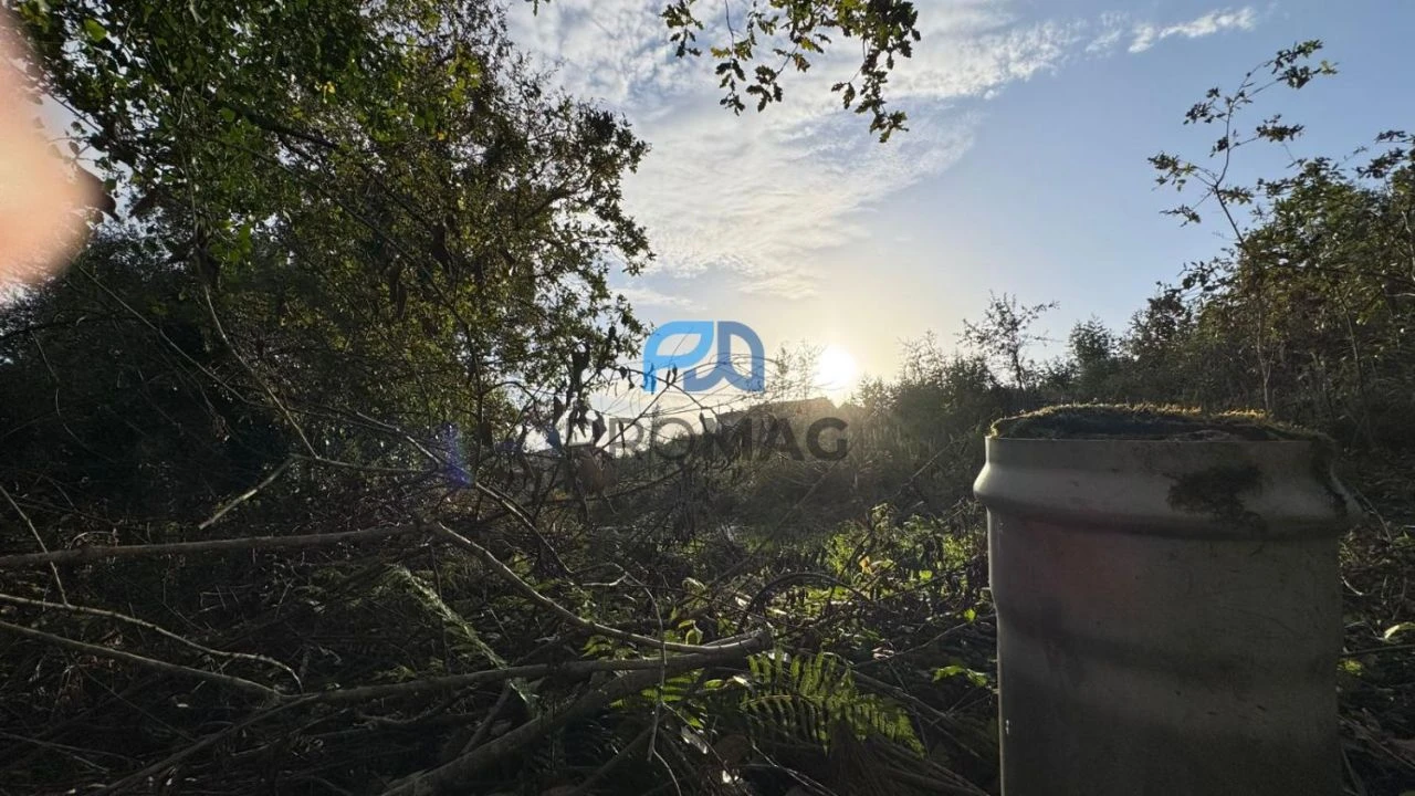 Terreno Misto para Venda em São Pedro da Cova Foto 23