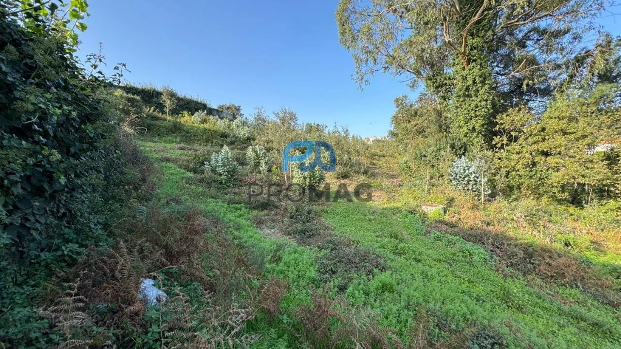Terreno Misto para Venda em São Pedro da Cova Foto 33