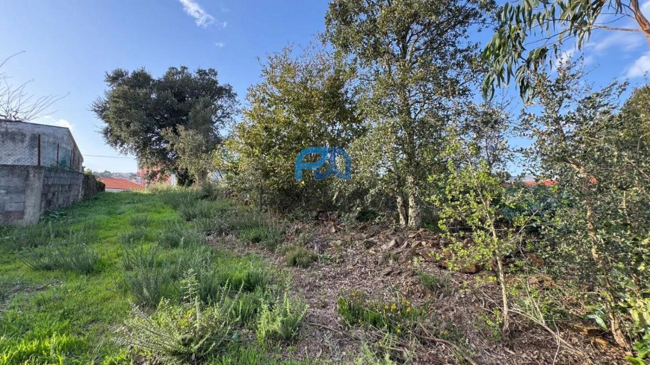 Terreno Misto para Venda em São Pedro da Cova Foto 32