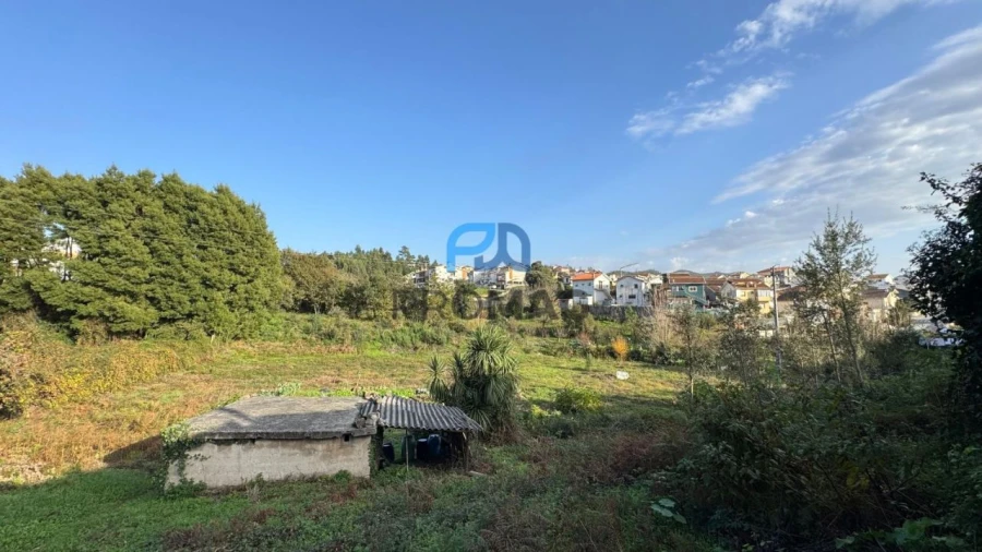 Terreno Misto para Venda em São Pedro da Cova Foto 21